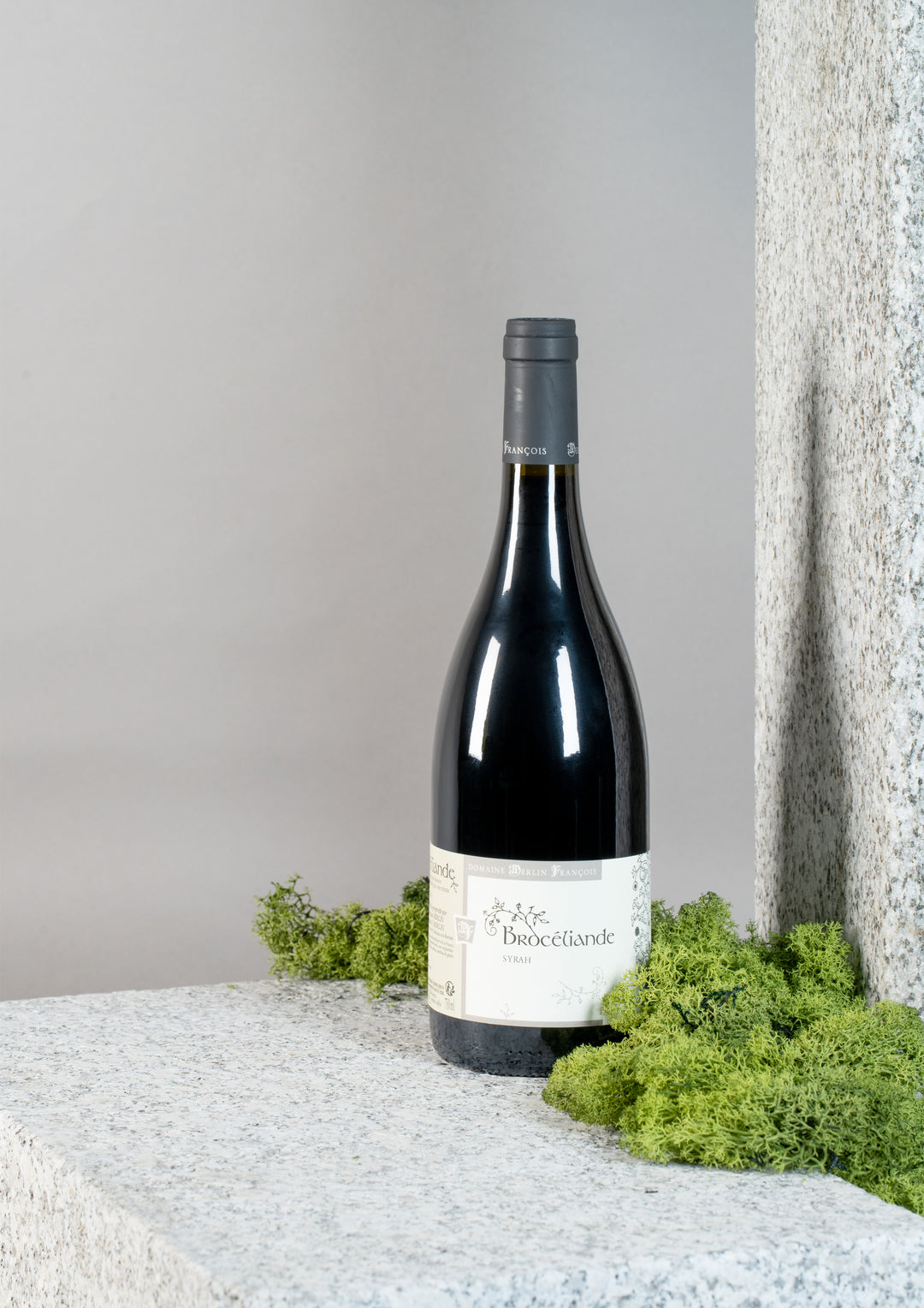 Domaine Merlin François - Syrah "Brocéliande" 2021