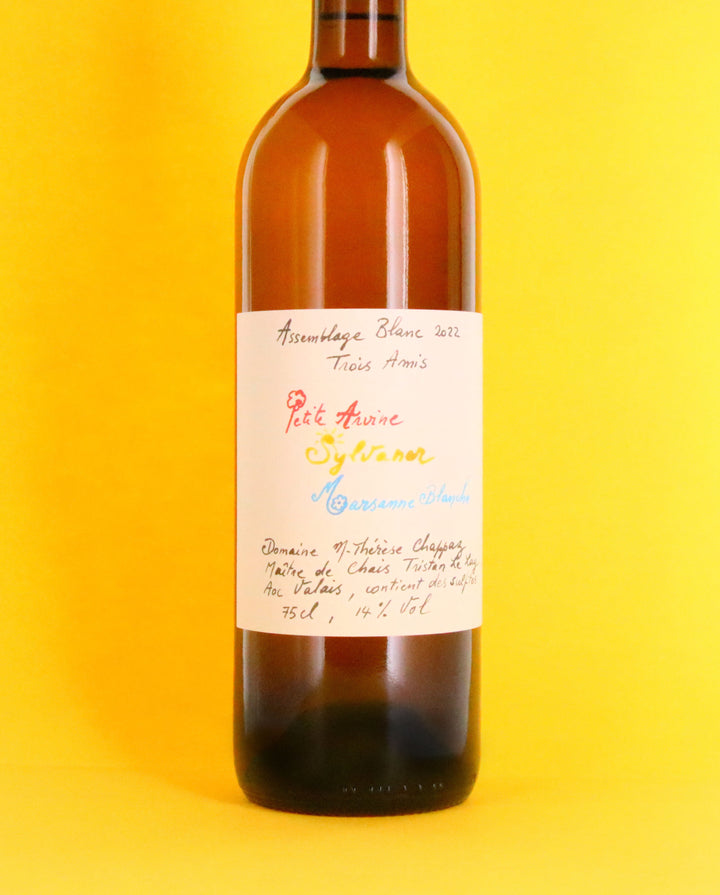 Marie-Thérèse Chappaz - Assemblage blanc 2022