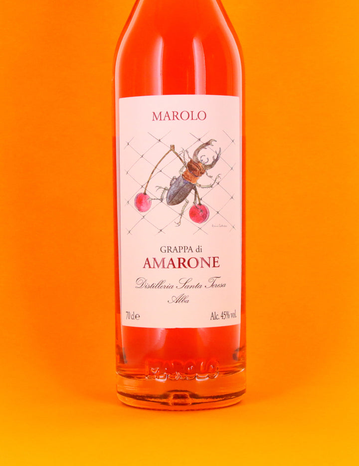 Marolo - Grappa di Amarone