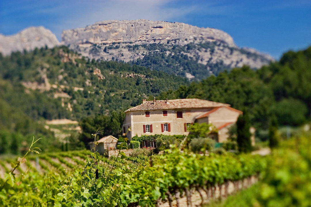 Domaine des Bernardins