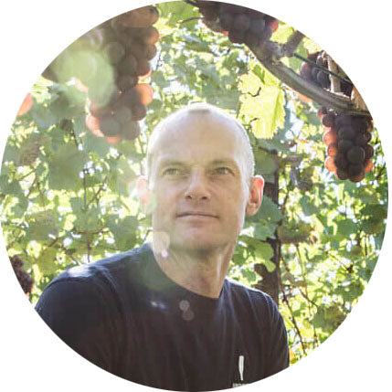 Weingut Erich Meier