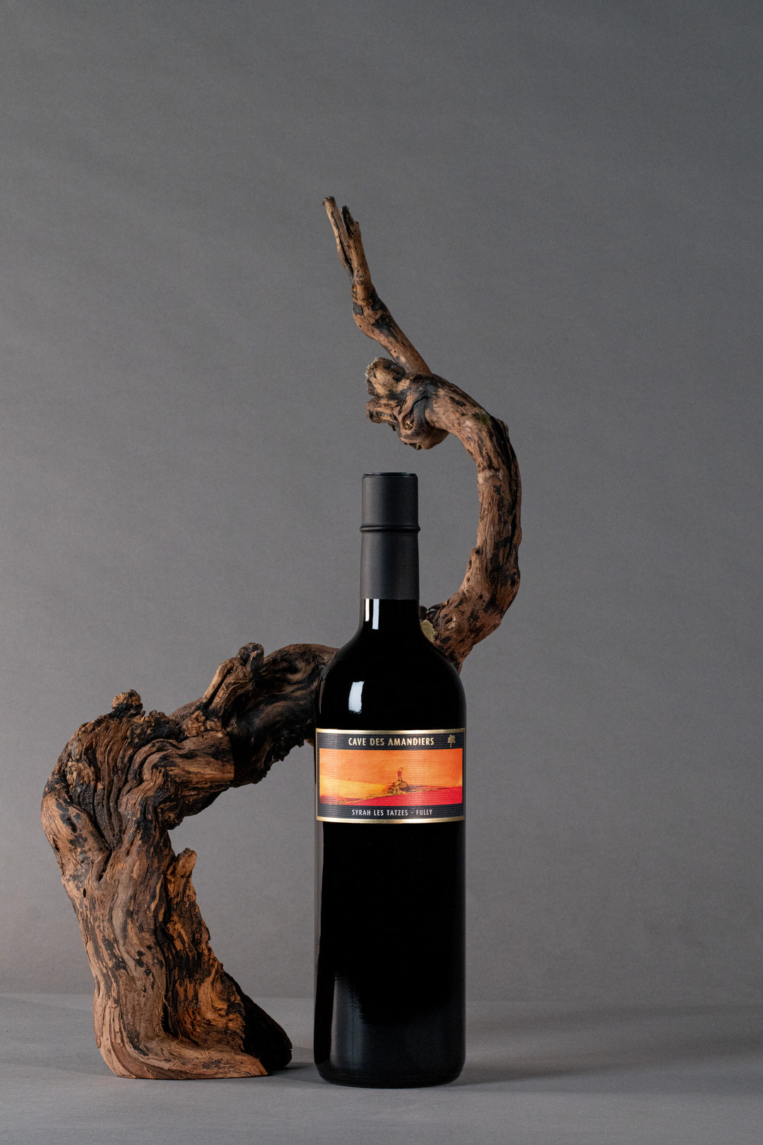 Cave des Amandiers - Syrah les Tatzes 2019 - SL