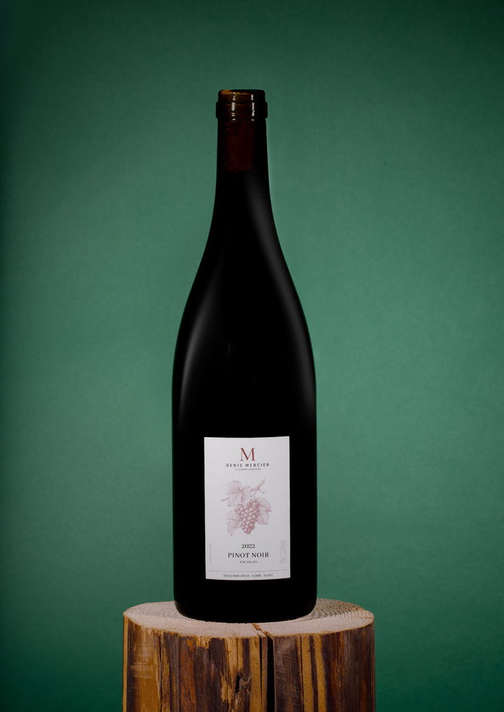 Denis Mercier - PN 2022 - FV