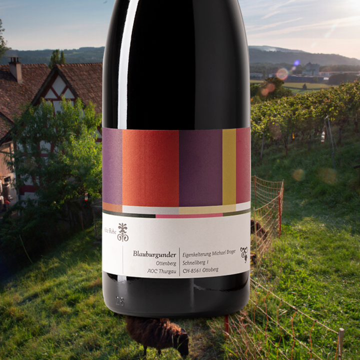 Weinbau Michael Broger - Blauburgunder "Alte Rebe" 2023