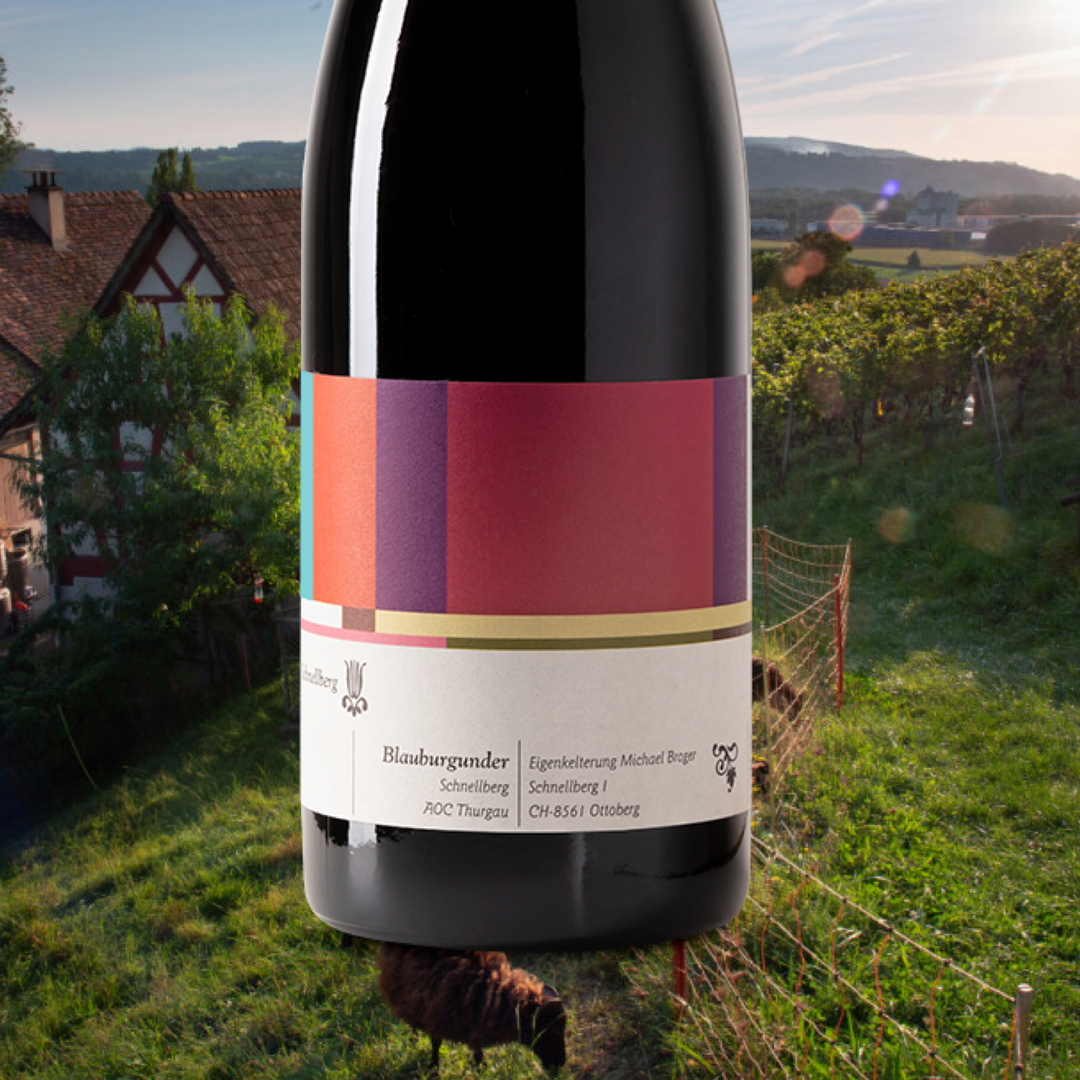 Weinbau Michael Broger - Blauburgunder "Schnellberg" 2023