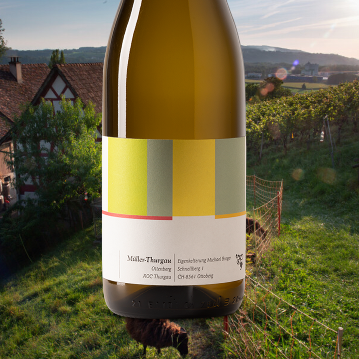 Weinbau Michael Broger - Müller-Thurgau "Ottenberg" 2024