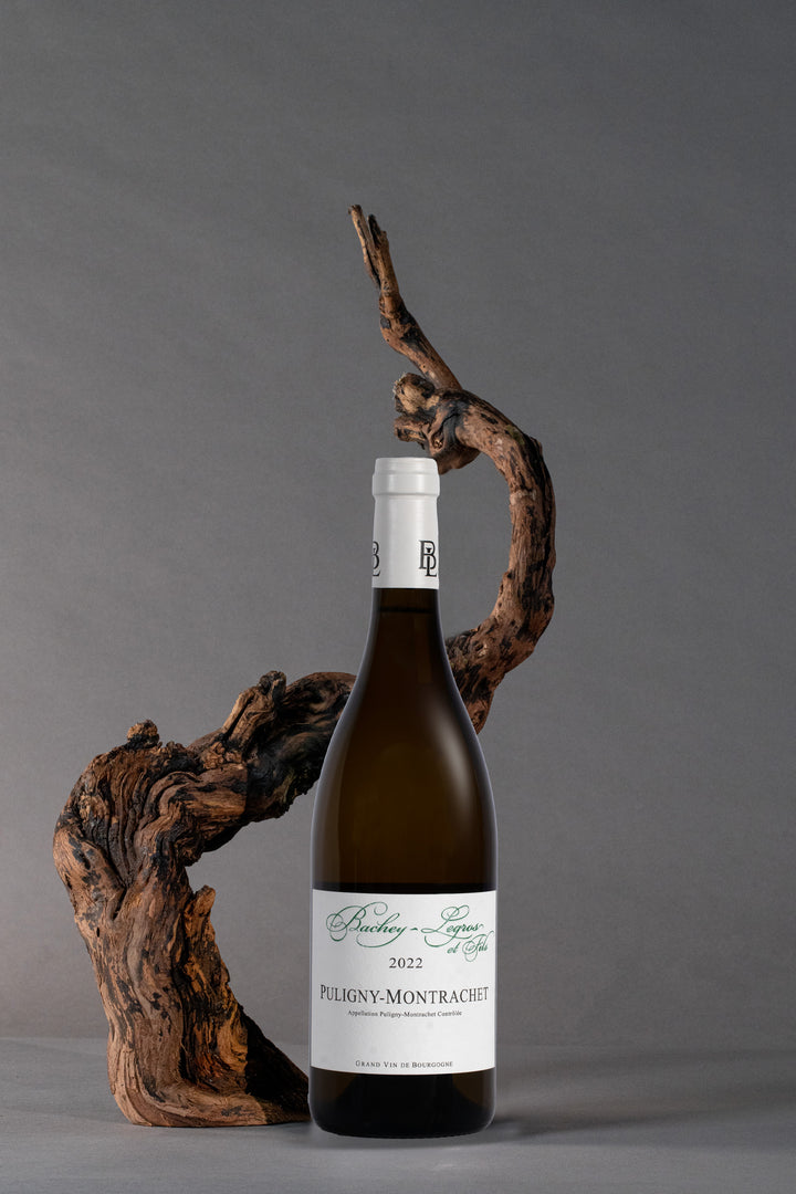 Domaine Bachey-Legros - Puligny-Montrachet 2022