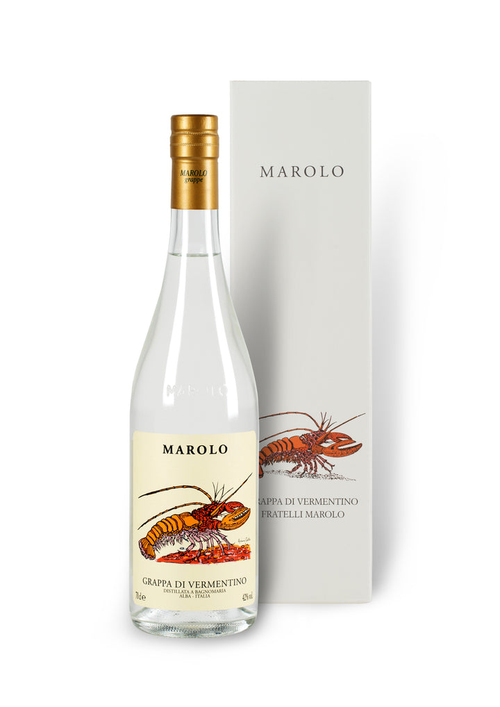 Marolo Vermentino