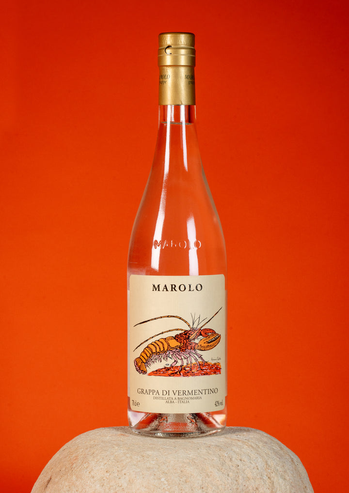 Marolo Vermentino